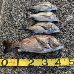 ダメ元で行ったら・・・